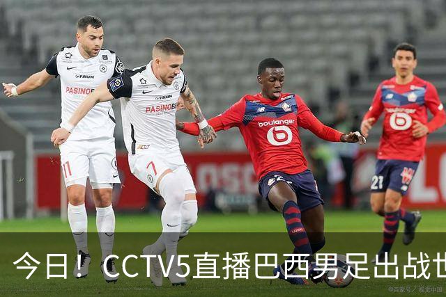 今日！CCTV5直播巴西男足出战世界杯，精彩呈现转NBA与F1赛事